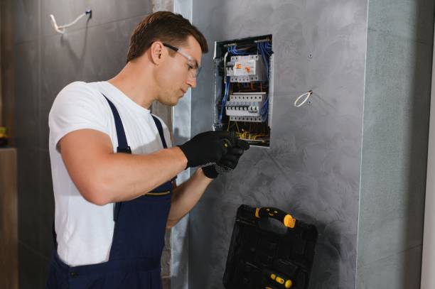 Best Licensed Electrician  in Fredonia, NY