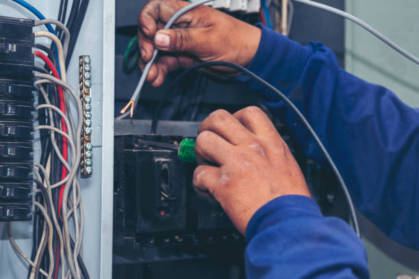Best Best Electricians Near Me  in Fredonia, NY